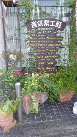 音気楽工房　店頭のお花たち