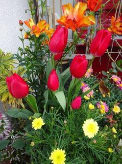 DSC02939.JPG