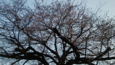 DSC_1947.jpg