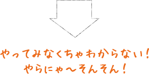 やってみなくちゃわからない！やらにゃ～そんそん！